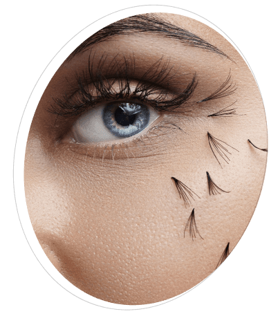 Eyelash Extension - Premium Lash Services